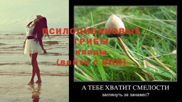 МДМА Волоколамск